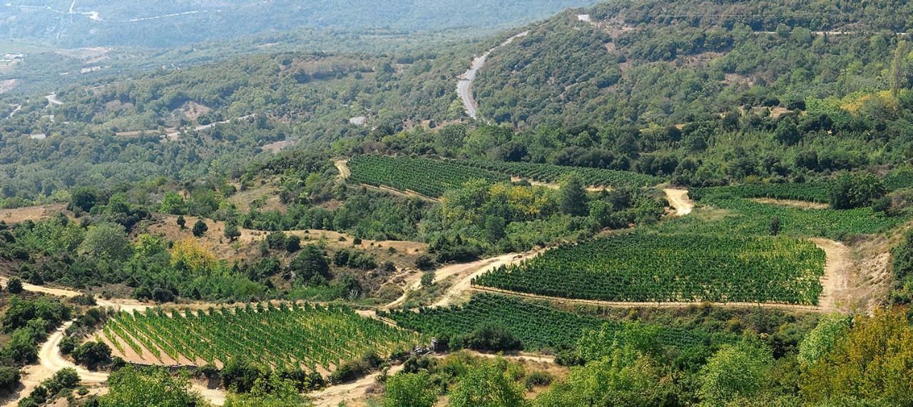 Rapsani Panorama Villa Buitenkant foto
